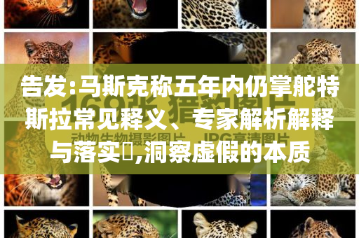 告發(fā):馬斯克稱(chēng)五年內(nèi)仍掌舵特斯拉常見(jiàn)釋義、專(zhuān)家解析解釋與落實(shí)?,洞察虛假的本質(zhì)