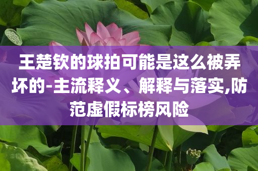 王楚欽的球拍可能是這么被弄壞的-主流釋義、解釋與落實,防范虛假標榜風險