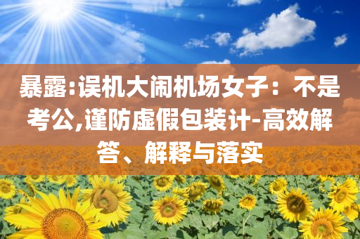 暴露:誤機大鬧機場女子：不是考公,謹(jǐn)防虛假包裝計-高效解答、解釋與落實