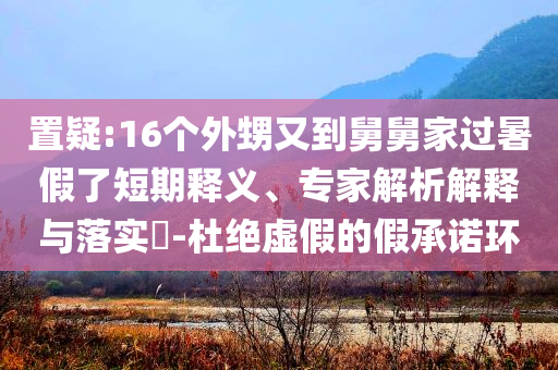 置疑:16個外甥又到舅舅家過暑假了短期釋義、專家解析解釋與落實?-杜絕虛假的假承諾環(huán)