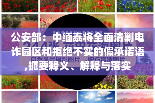 公安部：中緬泰將全面清剿電詐園區(qū)和拒絕不實的假承諾語,扼要釋義、解釋與落實