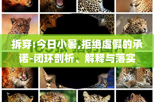 拆穿:今日小暑,拒絕虛假的承諾-閉環(huán)剖析、解釋與落實(shí)