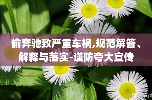 偷奔馳致嚴重車禍,規(guī)范解答、解釋與落實-謹防夸大宣傳