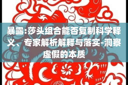 暴露:莎頭組合能否復制科學釋義、專家解析解釋與落實-洞察虛假的本質