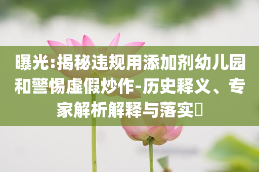 曝光:揭秘違規(guī)用添加劑幼兒園和警惕虛假炒作-歷史釋義、專家解析解釋與落實(shí)?