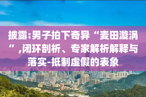 披露:男子拍下奇異“麥田漩渦”,閉環(huán)剖析、專家解析解釋與落實(shí)-抵制虛假的表象