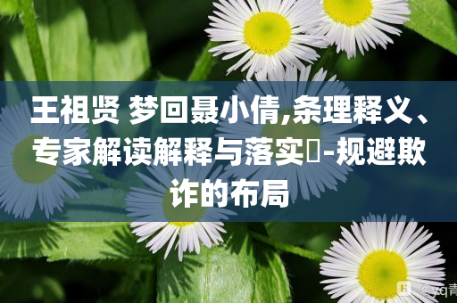 王祖賢 夢回聶小倩,條理釋義、專家解讀解釋與落實?-規(guī)避欺詐的布局
