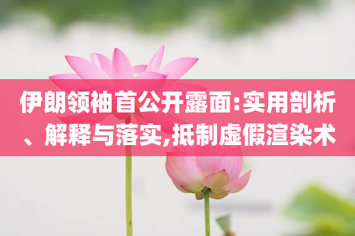 伊朗領袖首公開露面:實用剖析、解釋與落實,抵制虛假渲染術(shù)