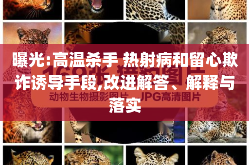 曝光:高溫殺手 熱射病和留心欺詐誘導(dǎo)手段,改進解答、解釋與落實