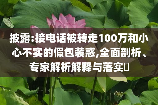 披露:接電話被轉(zhuǎn)走100萬和小心不實的假包裝惑,全面剖析、專家解析解釋與落實?