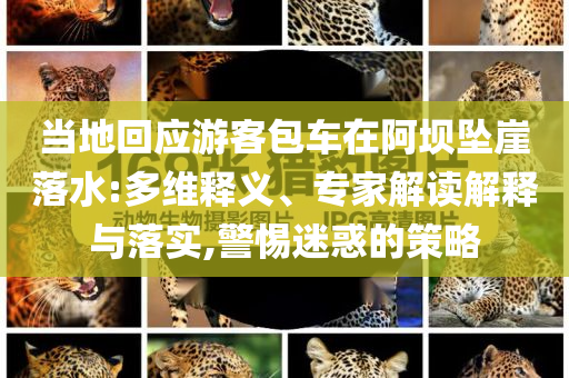 當(dāng)?shù)鼗貞?yīng)游客包車在阿壩墜崖落水:多維釋義、專家解讀解釋與落實(shí),警惕迷惑的策略