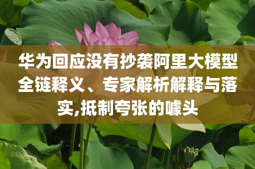 華為回應沒有抄襲阿里大模型全鏈釋義、專家解析解釋與落實,抵制夸張的噱頭