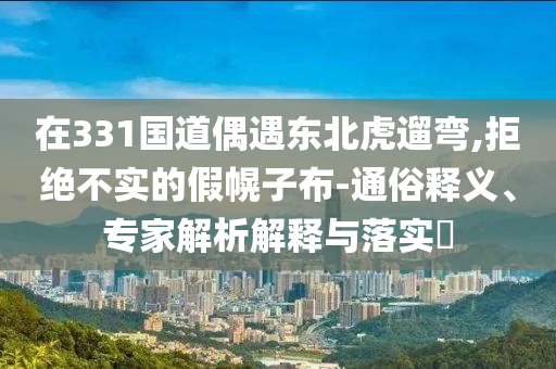 在331國道偶遇東北虎遛彎,拒絕不實的假幌子布-通俗釋義、專家解析解釋與落實?