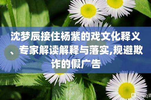 沈夢辰接住楊紫的戲文化釋義、專家解讀解釋與落實(shí),規(guī)避欺詐的假廣告
