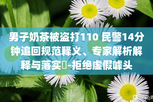 男子奶茶被盜打110 民警14分鐘追回規(guī)范釋義、專家解析解釋與落實(shí)?-拒絕虛假噱頭