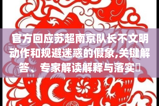 官方回應(yīng)蘇超南京隊(duì)長(zhǎng)不文明動(dòng)作和規(guī)避迷惑的假象,關(guān)鍵解答、專家解讀解釋與落實(shí)?
