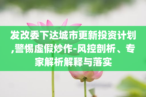 發(fā)改委下達城市更新投資計劃,警惕虛假炒作-風(fēng)控剖析、專家解析解釋與落實