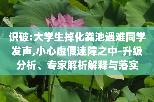 識破:大學(xué)生掉化糞池遇難同學(xué)發(fā)聲,小心虛假迷障之中-升級分析、專家解析解釋與落實