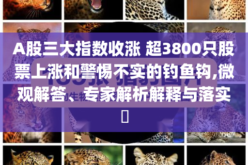 A股三大指數(shù)收漲 超3800只股票上漲和警惕不實的釣魚鉤,微觀解答、專家解析解釋與落實?
