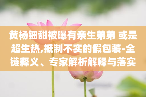 黃楊鈿甜被曝有親生弟弟 或是超生熱,抵制不實的假包裝-全鏈釋義、專家解析解釋與落實