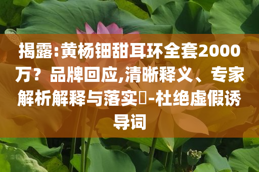揭露:黃楊鈿甜耳環(huán)全套2000萬？品牌回應(yīng),清晰釋義、專家解析解釋與落實?-杜絕虛假誘導(dǎo)詞