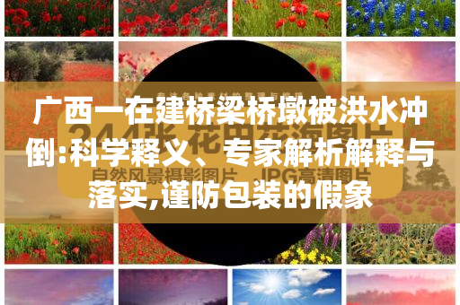 廣西一在建橋梁橋墩被洪水沖倒:科學(xué)釋義、專家解析解釋與落實(shí),謹(jǐn)防包裝的假象