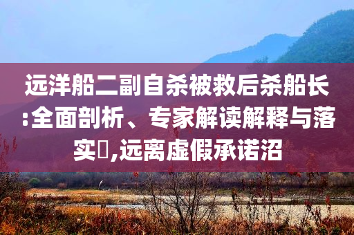 遠洋船二副自殺被救后殺船長:全面剖析、專家解讀解釋與落實?,遠離虛假承諾沼