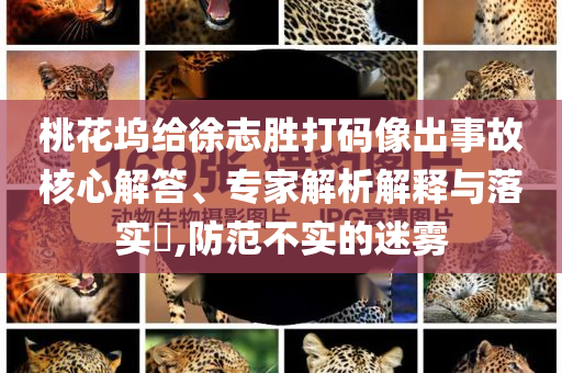 桃花塢給徐志勝打碼像出事故核心解答、專家解析解釋與落實(shí)?,防范不實(shí)的迷霧