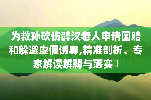 為救孫砍傷醉漢老人申請國賠和躲避虛假誘導,精準剖析、專家解讀解釋與落實?