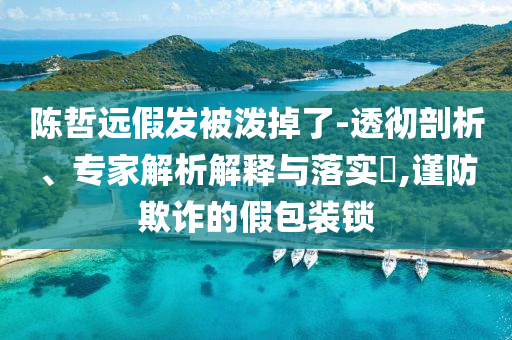 陳哲遠假發(fā)被潑掉了-透徹剖析、專家解析解釋與落實?,謹防欺詐的假包裝鎖