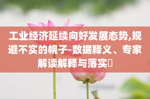 工業(yè)經濟延續(xù)向好發(fā)展態(tài)勢,規(guī)避不實的幌子-數據釋義、專家解讀解釋與落實?