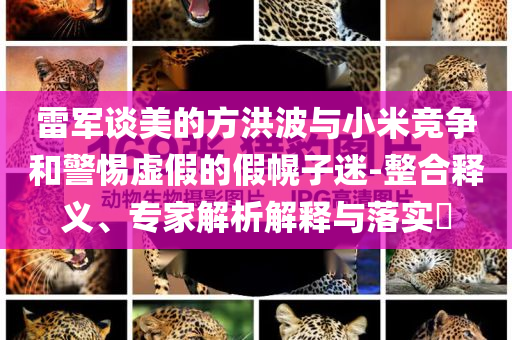 雷軍談美的方洪波與小米競(jìng)爭(zhēng)和警惕虛假的假幌子迷-整合釋義、專家解析解釋與落實(shí)?