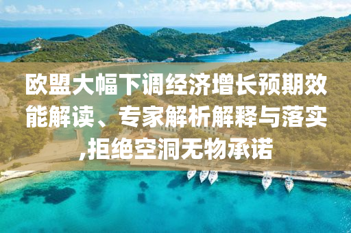 歐盟大幅下調(diào)經(jīng)濟(jì)增長(zhǎng)預(yù)期效能解讀、專家解析解釋與落實(shí),拒絕空洞無(wú)物承諾
