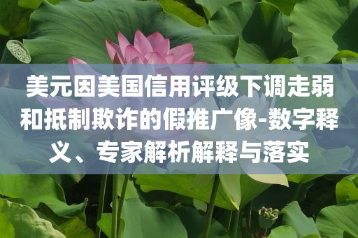 美元因美國信用評級下調(diào)走弱和抵制欺詐的假推廣像-數(shù)字釋義、專家解析解釋與落實
