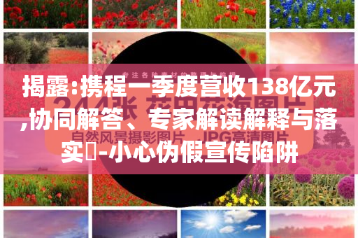 揭露:攜程一季度營收138億元,協(xié)同解答、專家解讀解釋與落實?-小心偽假宣傳陷阱