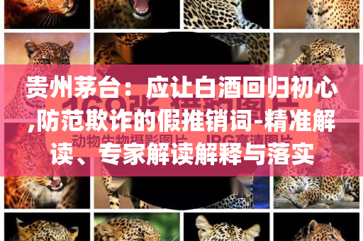 貴州茅臺：應(yīng)讓白酒回歸初心,防范欺詐的假推銷詞-精準解讀、專家解讀解釋與落實