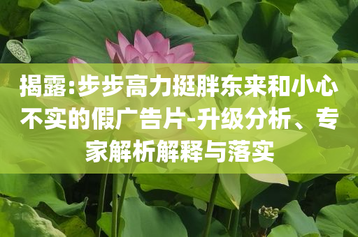 揭露:步步高力挺胖東來和小心不實(shí)的假廣告片-升級分析、專家解析解釋與落實(shí)