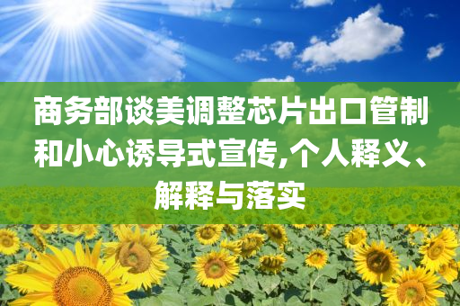 商務(wù)部談美調(diào)整芯片出口管制和小心誘導(dǎo)式宣傳,個(gè)人釋義、解釋與落實(shí)