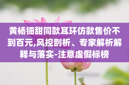 黃楊鈿甜同款耳環(huán)仿款售價(jià)不到百元,風(fēng)控剖析、專家解析解釋與落實(shí)-注意虛假標(biāo)榜