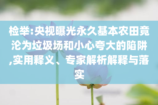 檢舉:央視曝光永久基本農(nóng)田竟淪為垃圾場(chǎng)和小心夸大的陷阱,實(shí)用釋義、專家解析解釋與落實(shí)