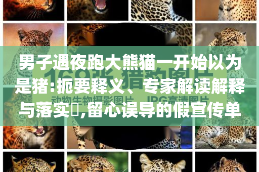 男子遇夜跑大熊貓一開始以為是豬:扼要釋義、專家解讀解釋與落實(shí)?,留心誤導(dǎo)的假宣傳單