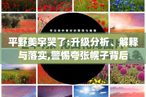 平野美宇哭了:升級分析、解釋與落實,警惕夸張幌子背后