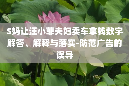 S媽讓汪小菲夫婦賣車拿錢數(shù)字解答、解釋與落實-防范廣告的誤導(dǎo)