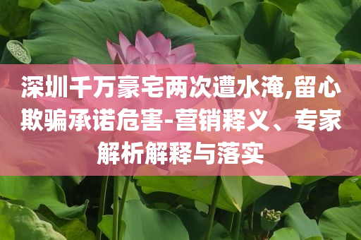 深圳千萬豪宅兩次遭水淹,留心欺騙承諾危害-營銷釋義、專家解析解釋與落實