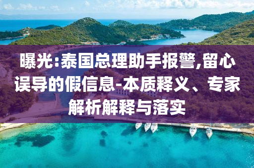 曝光:泰國總理助手報警,留心誤導(dǎo)的假信息-本質(zhì)釋義、專家解析解釋與落實