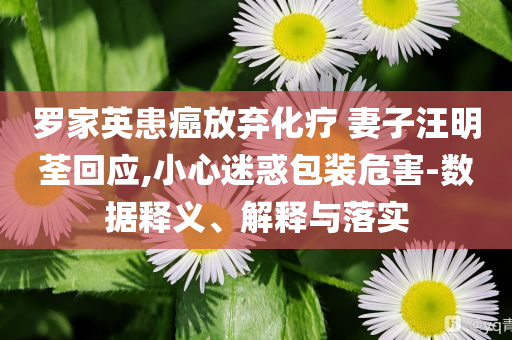 羅家英患癌放棄化療 妻子汪明荃回應(yīng),小心迷惑包裝危害-數(shù)據(jù)釋義、解釋與落實(shí)