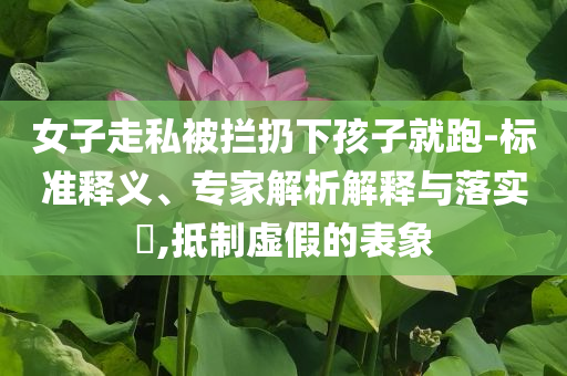 女子走私被攔扔下孩子就跑-標(biāo)準(zhǔn)釋義、專家解析解釋與落實(shí)?,抵制虛假的表象