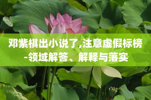 鄧紫棋出小說了,注意虛假標榜-領域解答、解釋與落實