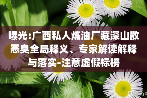 曝光:廣西私人煉油廠藏深山散惡臭全局釋義、專家解讀解釋與落實(shí)-注意虛假標(biāo)榜