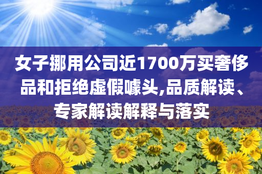 女子挪用公司近1700萬買奢侈品和拒絕虛假噱頭,品質(zhì)解讀、專家解讀解釋與落實(shí)